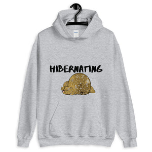 Grey hoodie that says Hibernating with picture of bears sleeping